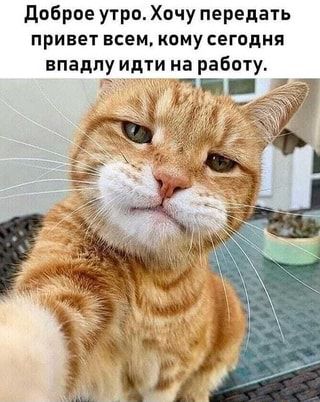 Доброе утро — это когда работа