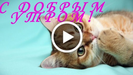 Самые красивые открытки С добрым утром 🔥 BipBap.ru