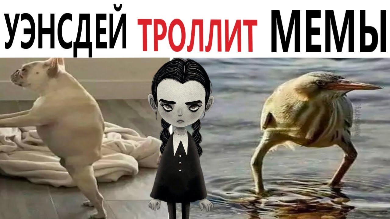 УГАРНЫЕ КАРТИНКИ!!!😂😂😂 Ч.2 | записки путешественницы | Дзен