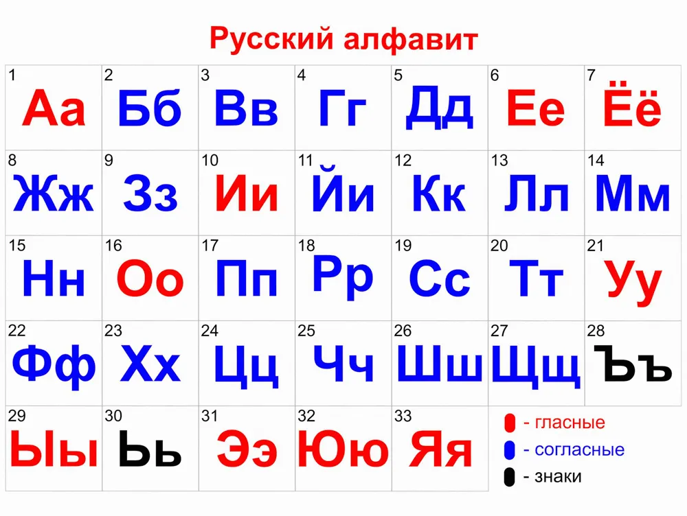 Русская цветная болонка: особенности породы, характер, фото