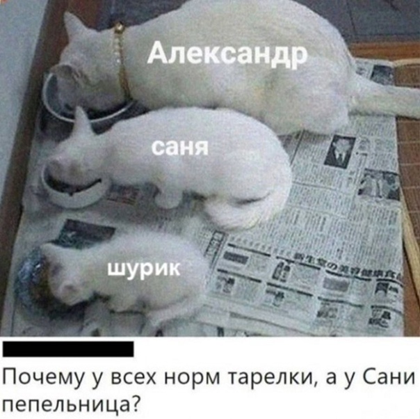 Смешные картинки Приколы про санька