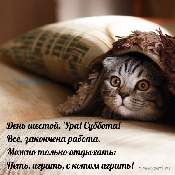 суббота #доброеутро #утро #доброе #11 #декабрь #зима