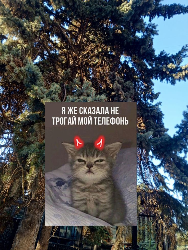 Не трогай мой телефон, если ты не