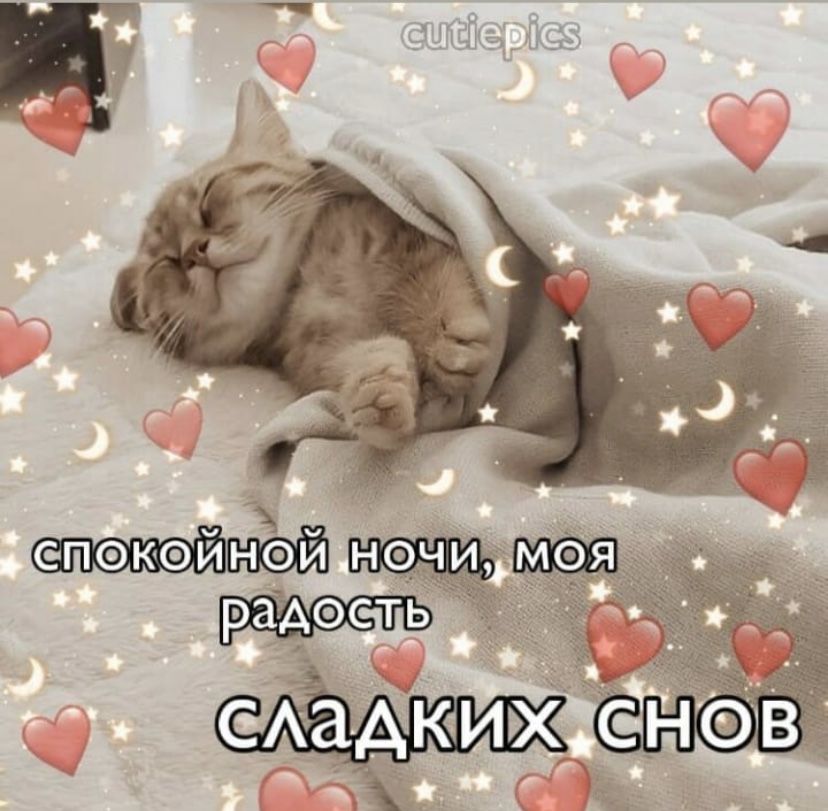 комару спокойной ночи GIF