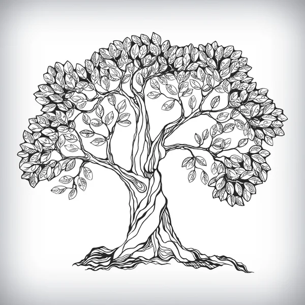 Tree Trunk Coloring Page