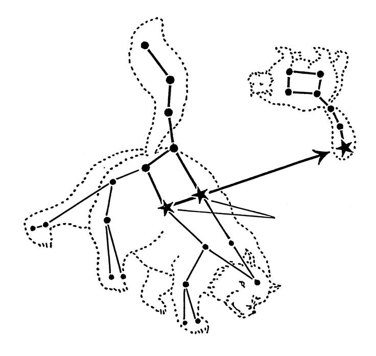 Звездное небо рисунок. Созвездие малая медведица и большая
