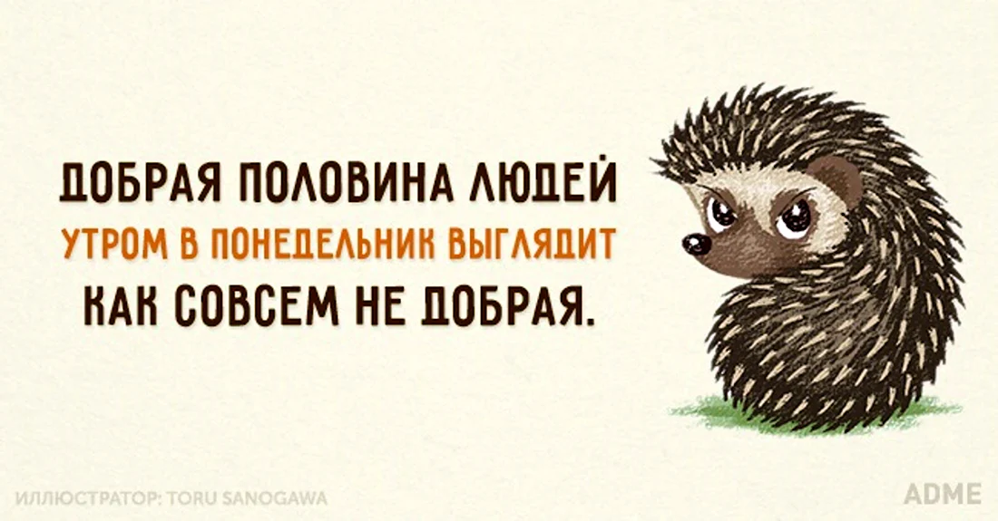 Публикация #6281 — Открыточка 💌 