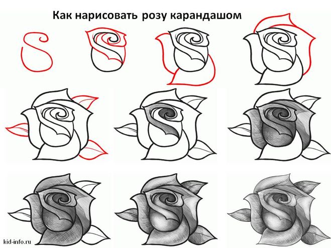 Учимся рисовать цветы