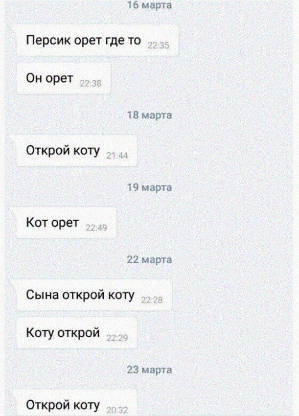 Очень смешная переписка в WhatsApp