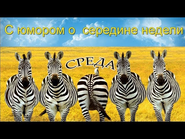 Картинки с добрым утром: красивые и смешные открытки с