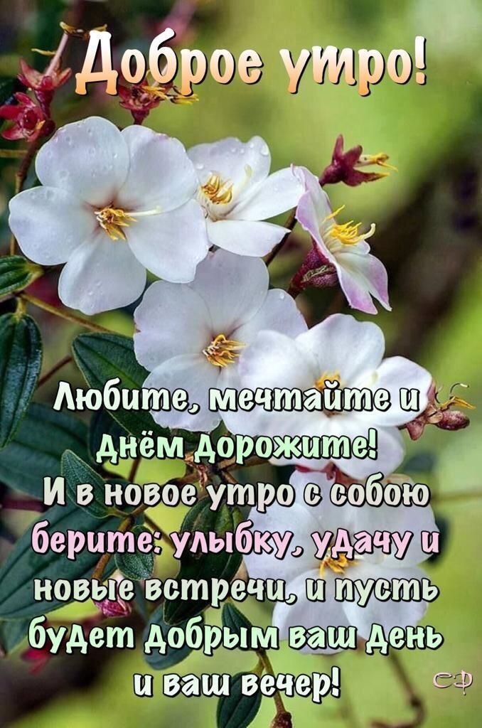 Открытки доброе утро доброе утро