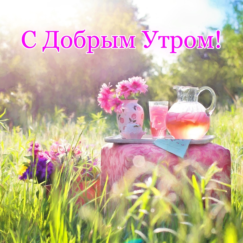 С ВОСКРЕСЕНЬЕМ — поздравления картинки 💐 Доброго утра, дня