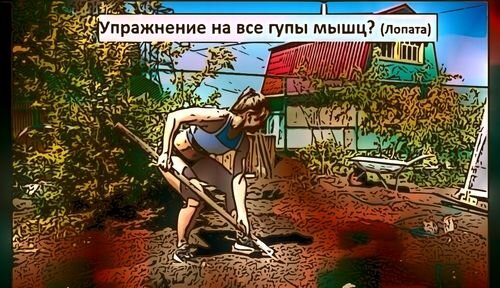 Ответ на пост «Отдыхать на даче? Не, не слышали» | Пикабу