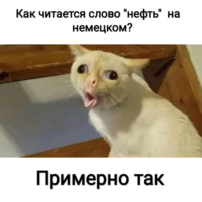 Немецкие приколы. Жизненно? 😆 | Немецкий, Немецкий язык, Юмор