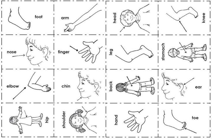 Раскраска Части тела человека | Части тела для детей в черно