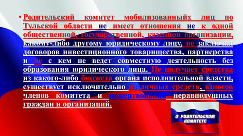 Команда родительского комитета лицея № 4 г.Азнакаево отлично