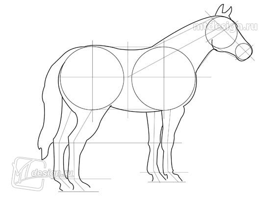 How to draw a horse with a pencil? A staged lesson