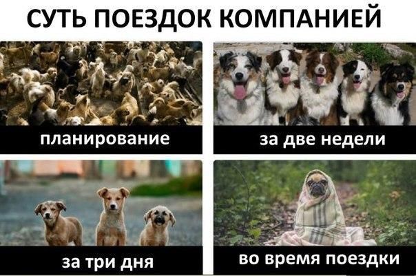 BipBap.ru