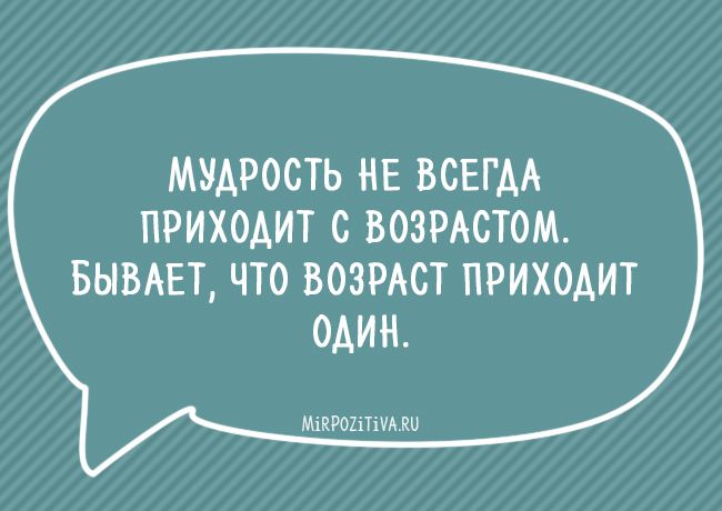 Смешные крылатые фразы для женщин и мужчин. На каждый день