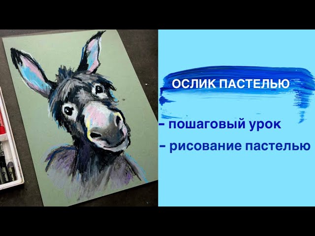 Как нарисовать осла простым карандашом для начинающих