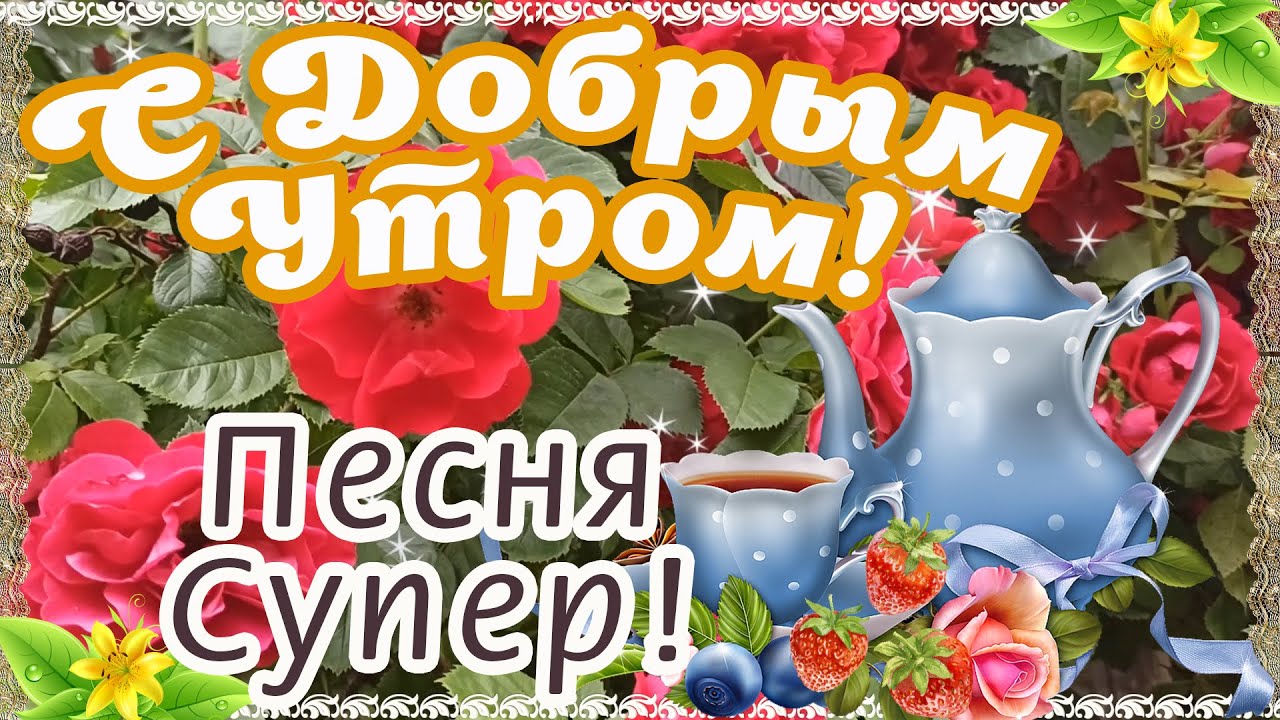 С Добрым утром, дорогие мои! 🌞 Я Доброго утра Вам желаю! С