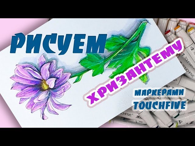 How to draw flowers Chrysanthemum/ Как рисовать цветы