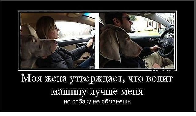 юмор#девушки#париж#путешествие#приколы | Женский журнал