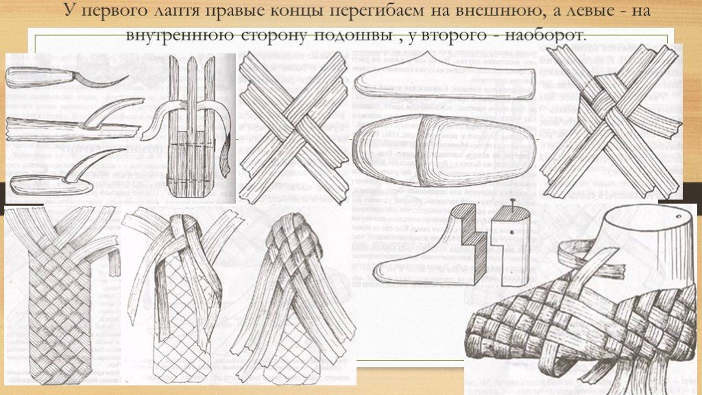 Лесное богатство