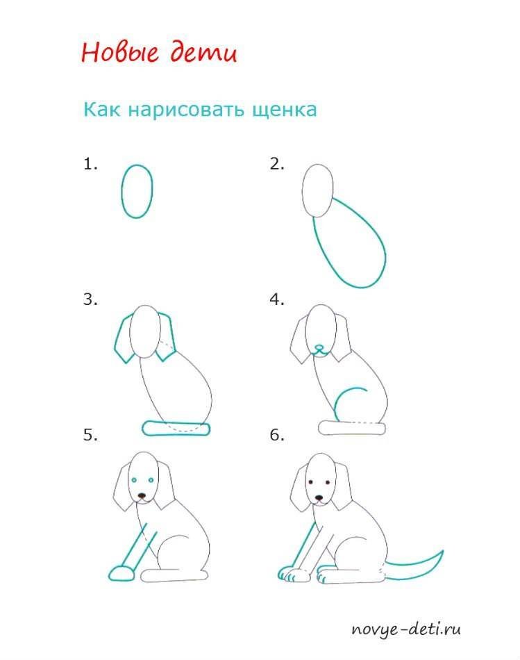 Как нарисовать милого щенка | Рисуем поэтапно карандашом