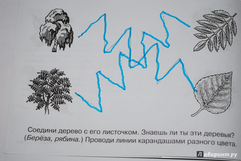 Рисунок береза карандашом для начинающих легко 