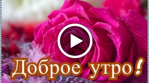 Картинка доброе утро с ежиком