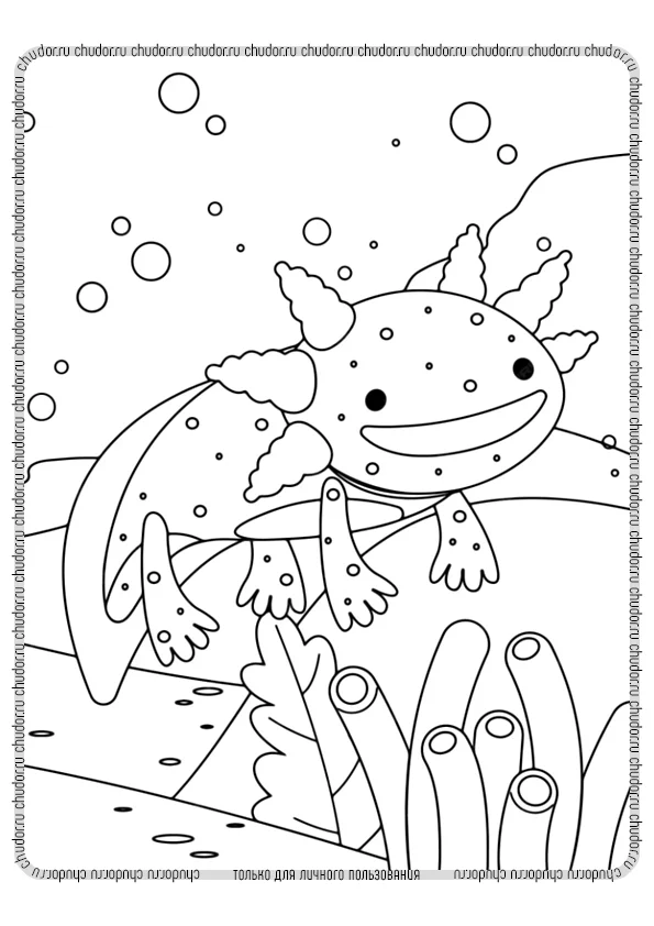 Axolotl coloring pages