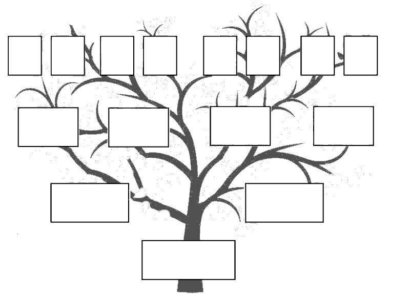 Более 920 работ на тему «Pics Of A Decorative Family Tree