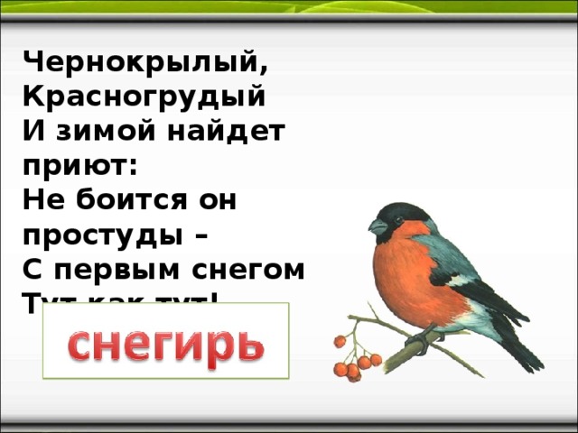 Как нарисовать снегиря на ветке рябины поэтапно для