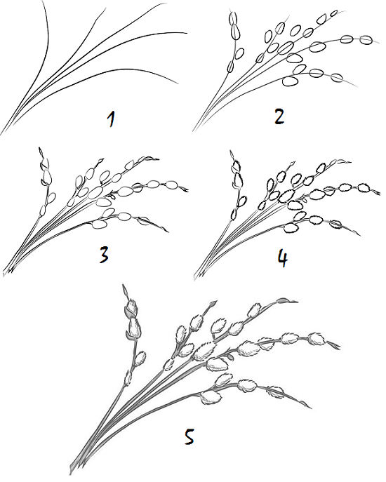 Как просто нарисовать веточку мимозы