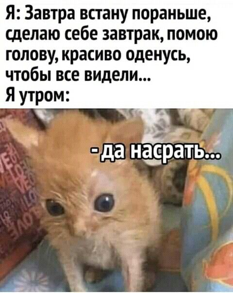 Самые смешные мемы о новогоднем корпоративе