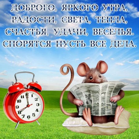 Доброе утро девочки картинки с приколом