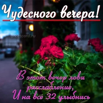 Добрый вечер! Спокойной ночи!