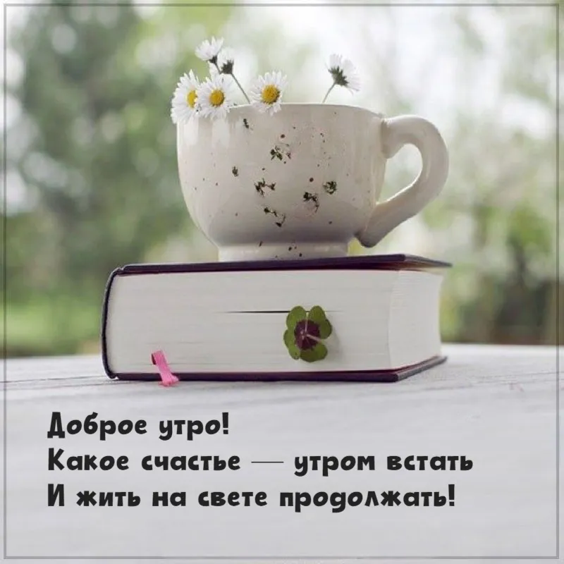 💗☕️Доброе Утро! Хорошего Дня!🌹Заряд Позитива на Весь День