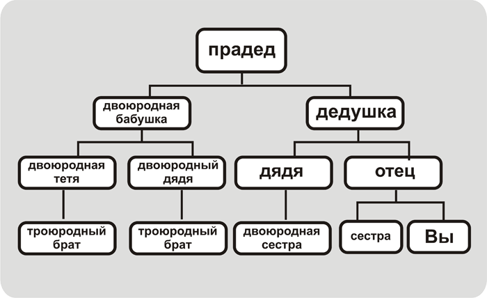 Как сделать генеалогическое древо: инструкции и шаблоны