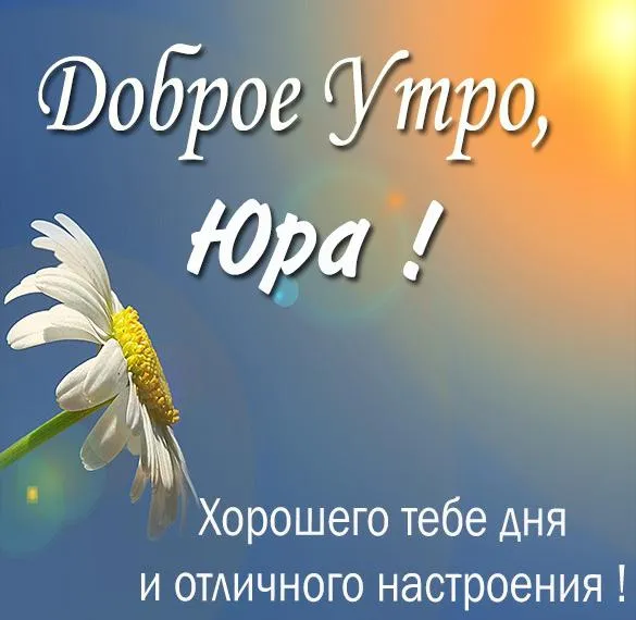 BipBap.ru