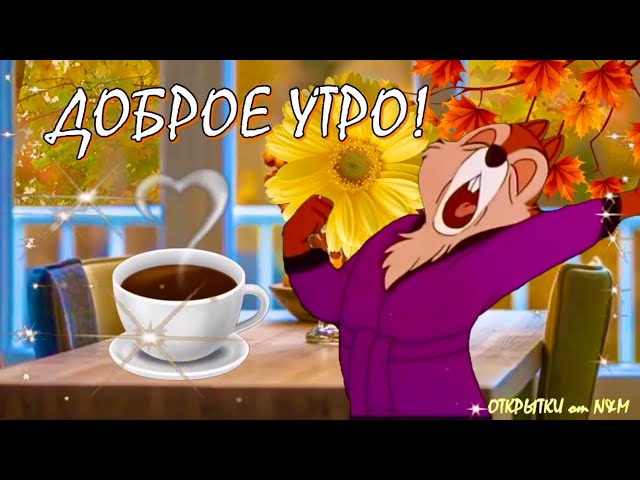 Видео Открытки💐❤️ | Доброе Утро ☕#воскресенье