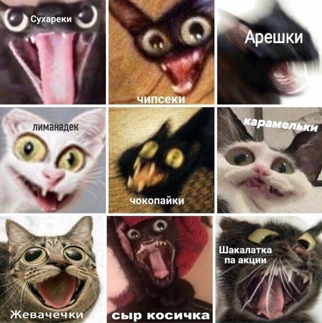 Создать комикс мем 