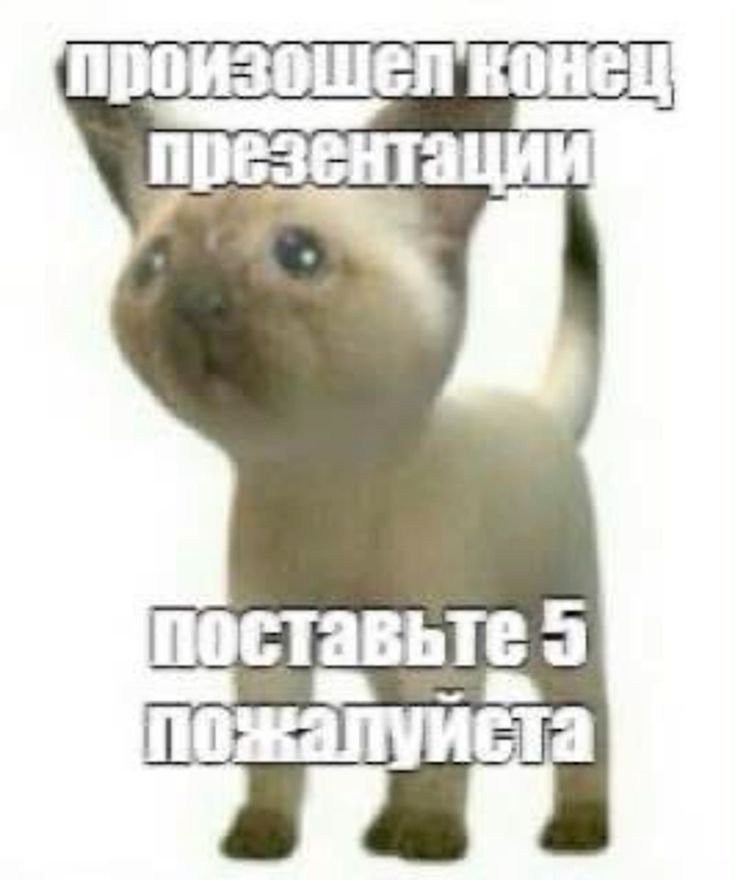 Мем: 