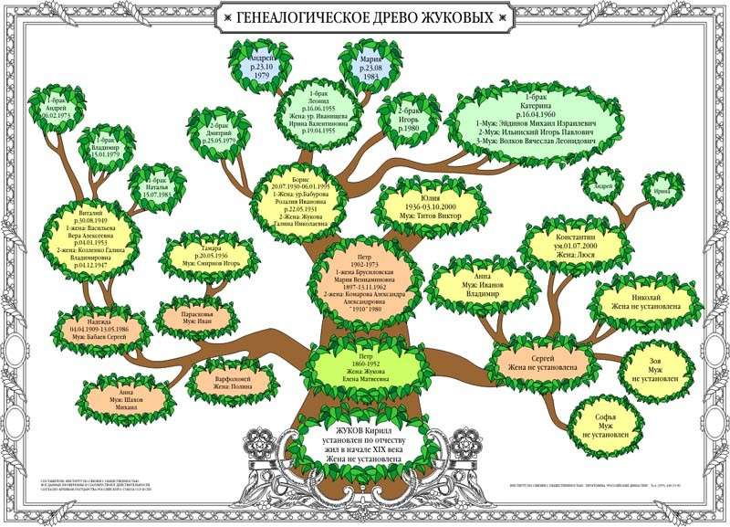 Как сделать генеалогическое древо: инструкции и шаблоны
