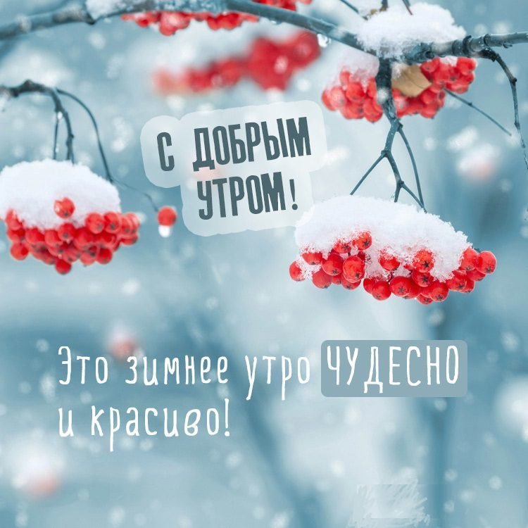 Доброе морозное утро! Чую зиму❄️😉#пожелание#доброеутро