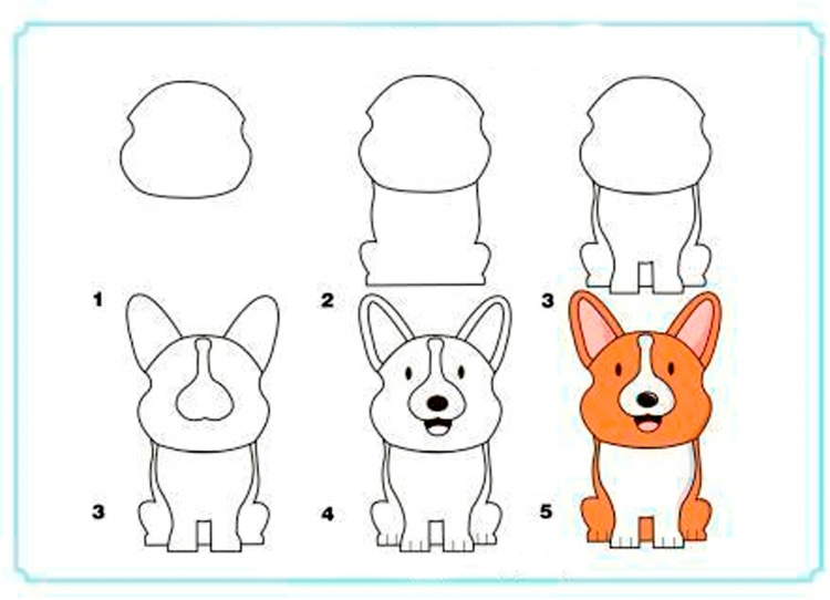 How to draw a cute puppy whole, easy drawings for kids and