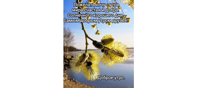 Хорошего вам дня картинки