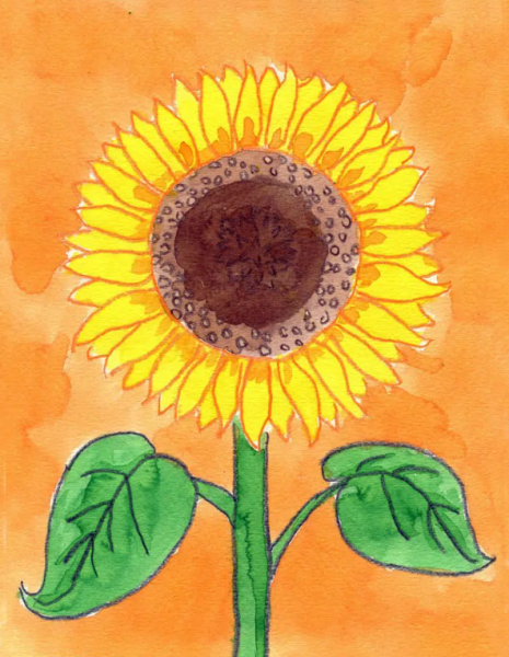 Как нарисовать подсолнух / How to draw a sunflower / Рисуем с