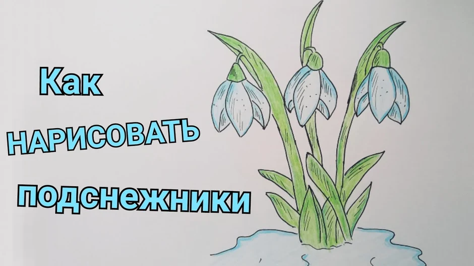 Подснежники». Урок рисования для детей от 5 лет.